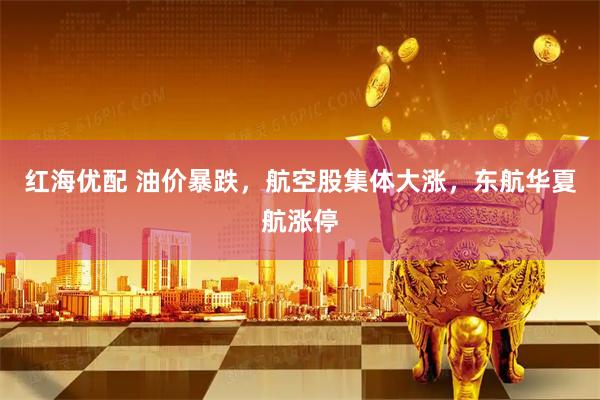 红海优配 油价暴跌，航空股集体大涨，东航华夏航涨停
